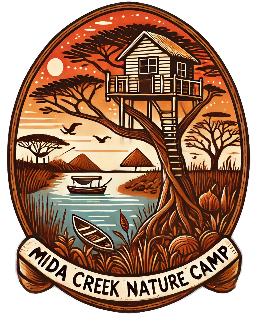 MIDA CREEK NATURE CAMP